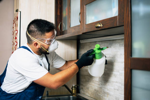 Best Wasp Removal Services  in Bowling Green, VA