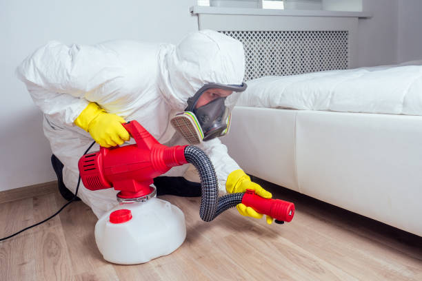 Best Local Pest Control Services  in Bowling Green, VA
