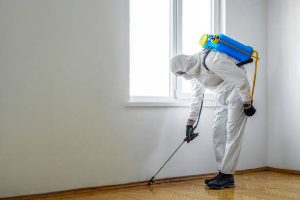 Best Local Pest Control Services  in Bowling Green, VA