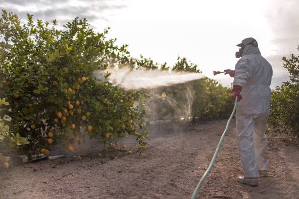 Best Pest Prevention Services  in Bowling Green, VA