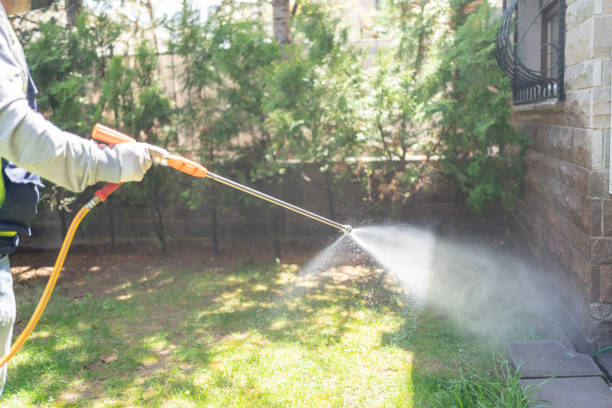 Best Affordable Pest Control Services  in Bowling Green, VA