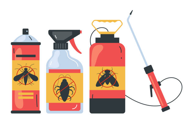 Wasp Removal Services in Bowling Green, VA